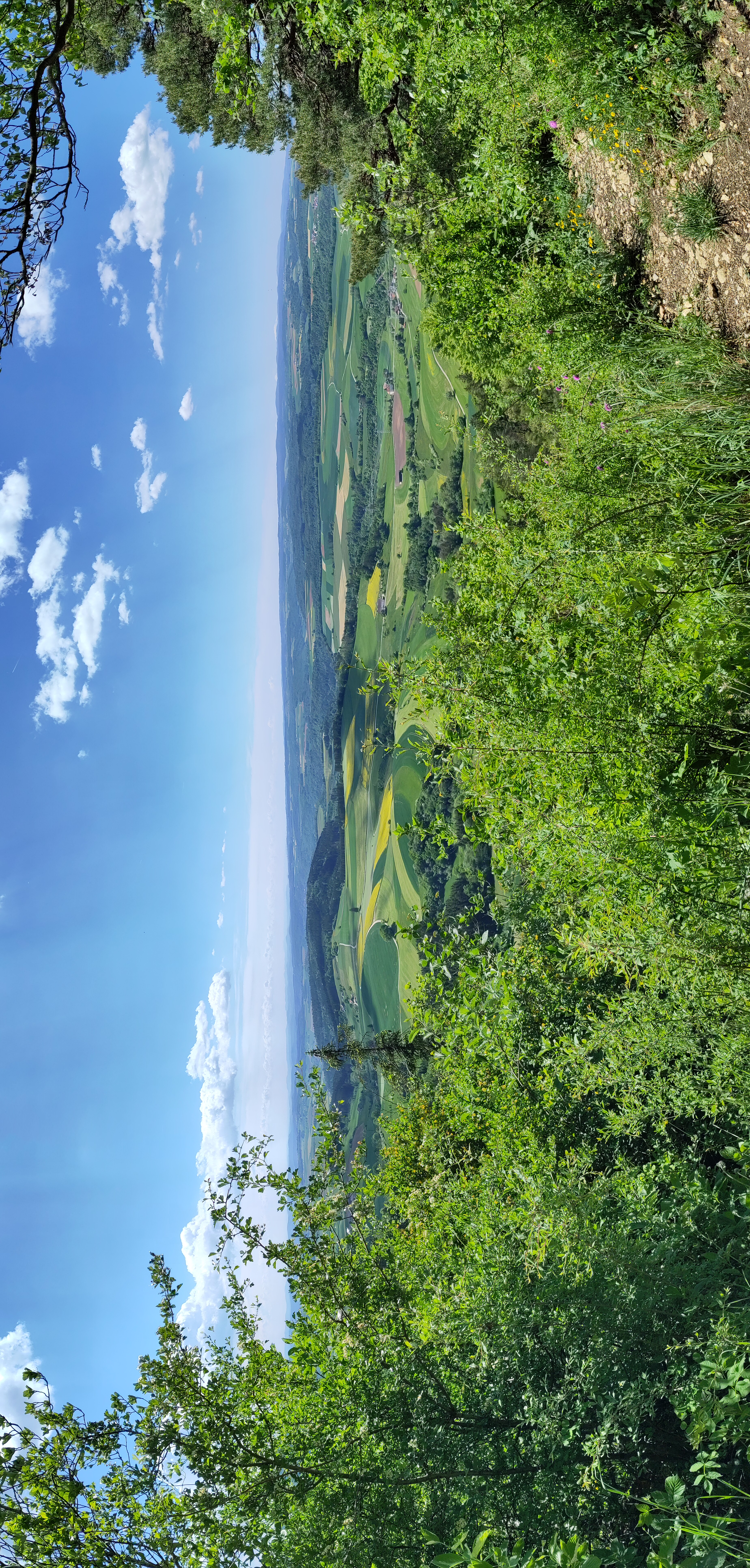 Landschaft mit Hgeln im Klettgau